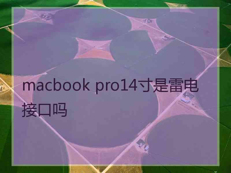 macbook pro14寸是雷电接口吗