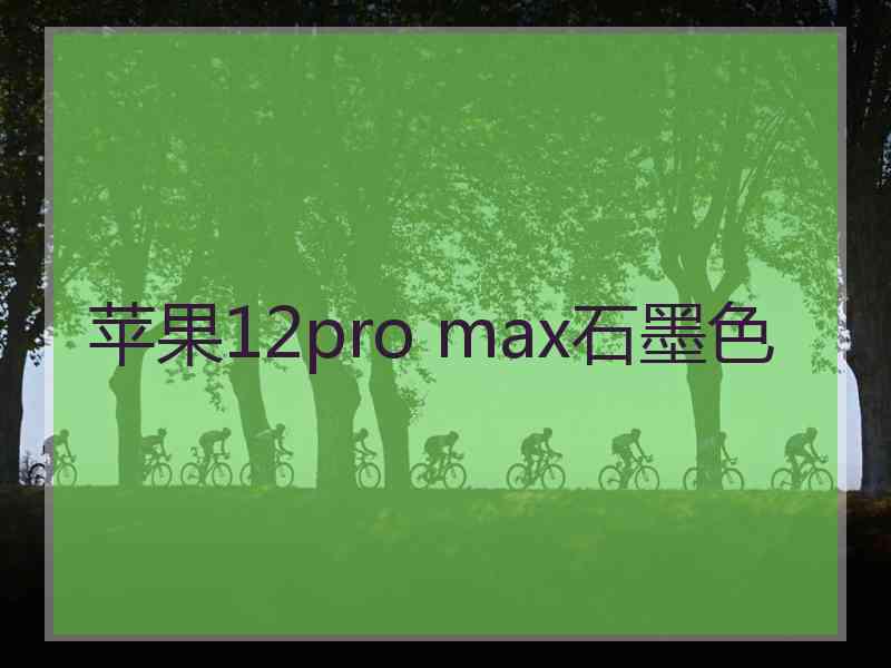 苹果12pro max石墨色