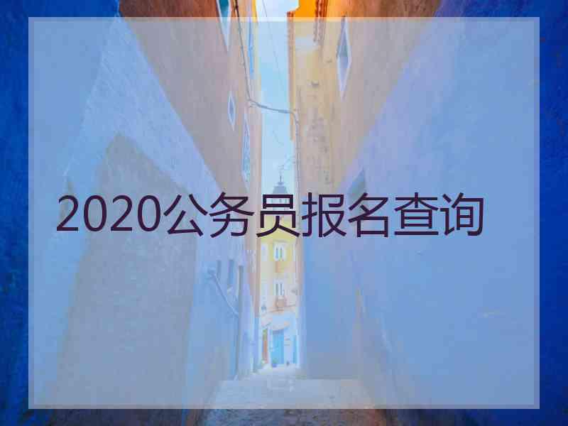 2020公务员报名查询