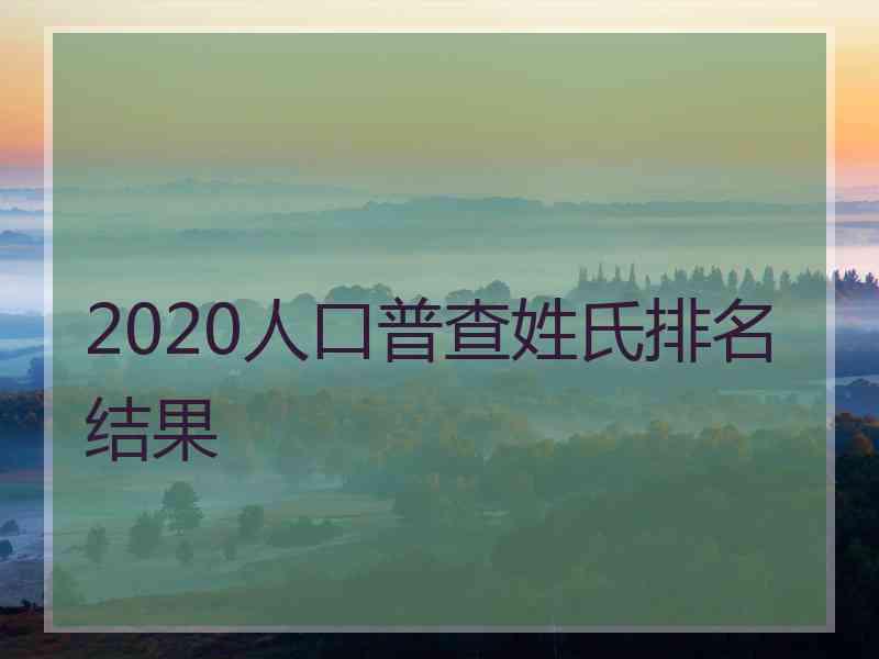 2020人口普查姓氏排名结果