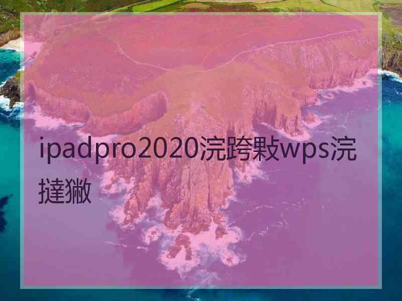 ipadpro2020浣跨敤wps浣撻獙