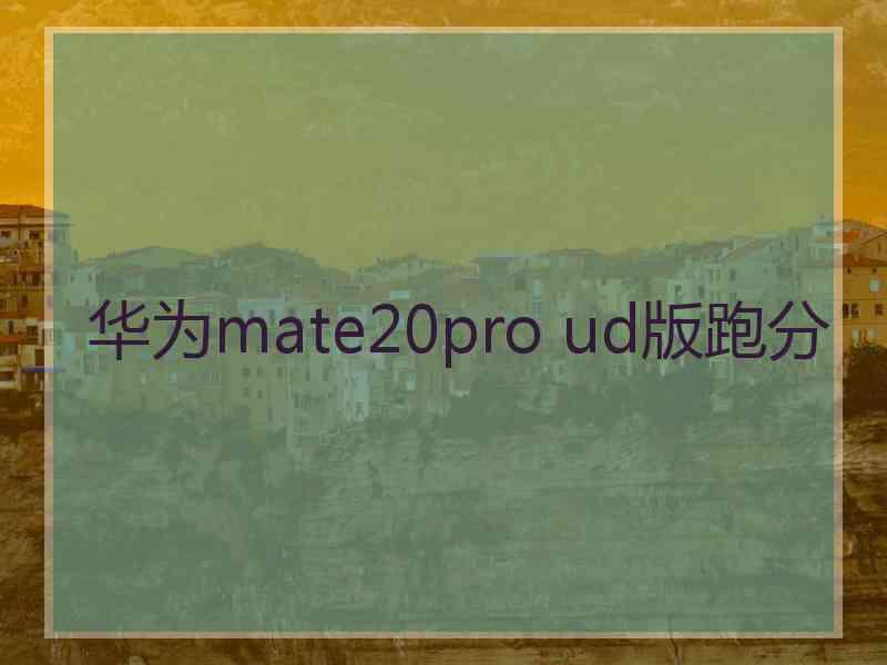 华为mate20pro ud版跑分