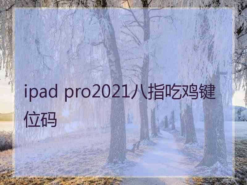 ipad pro2021八指吃鸡键位码