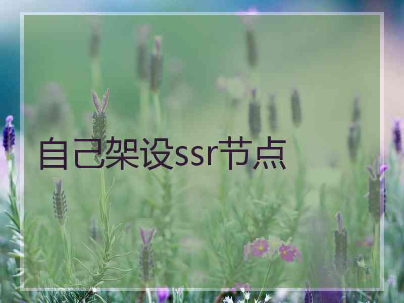 自己架设ssr节点