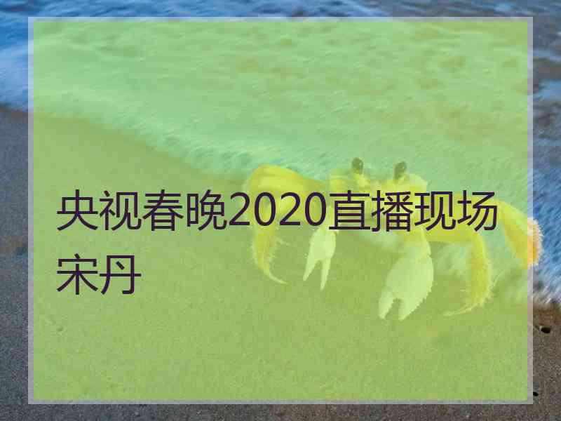 央视春晚2020直播现场宋丹