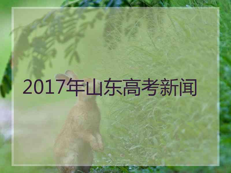 2017年山东高考新闻