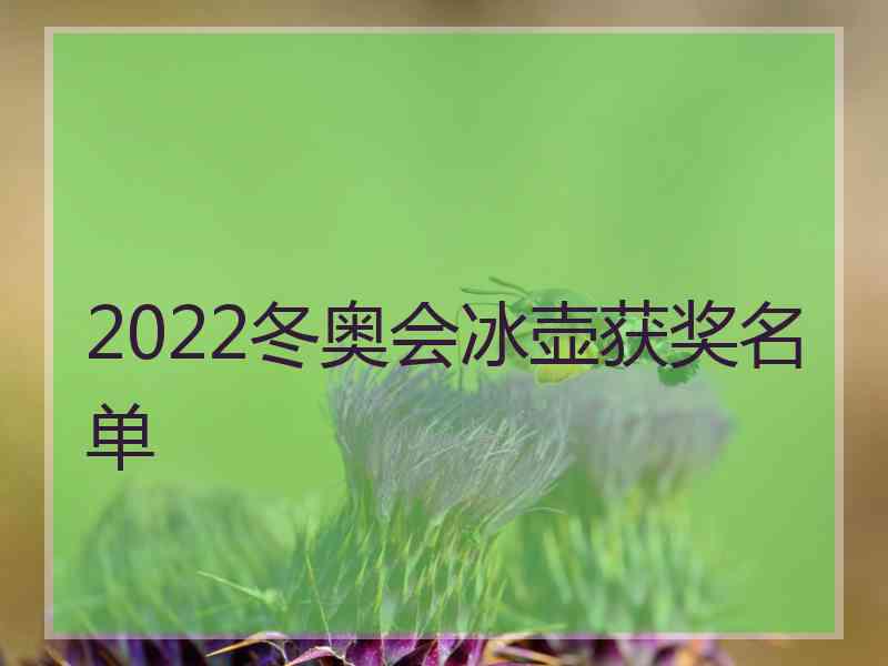 2022冬奥会冰壶获奖名单