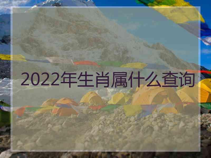 2022年生肖属什么查询