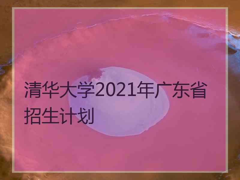 清华大学2021年广东省招生计划