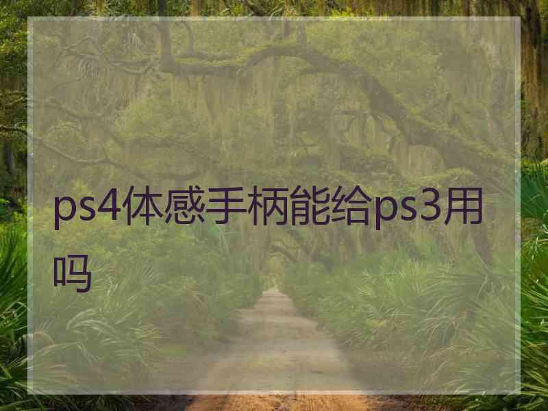 ps4体感手柄能给ps3用吗