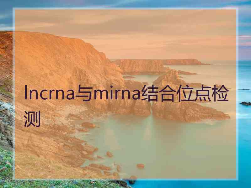 lncrna与mirna结合位点检测