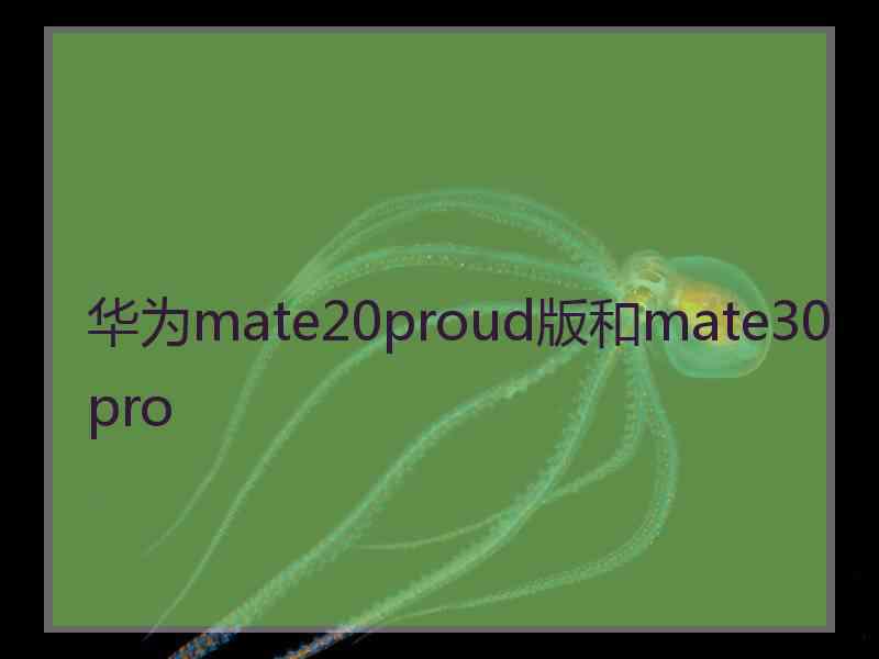 华为mate20proud版和mate30pro