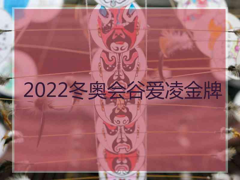 2022冬奥会谷爱凌金牌