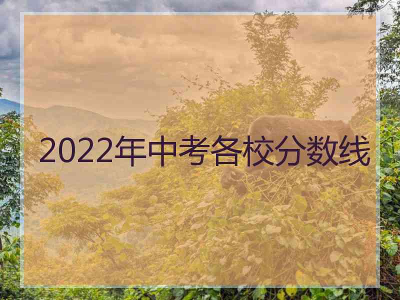 2022年中考各校分数线