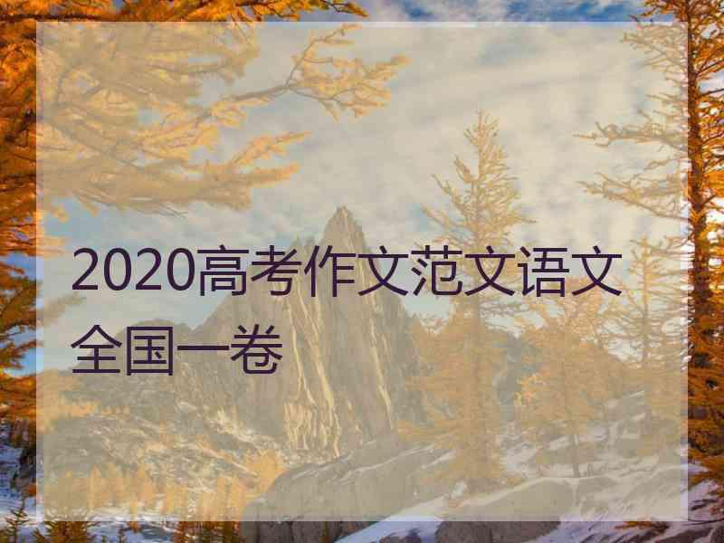 2020高考作文范文语文全国一卷