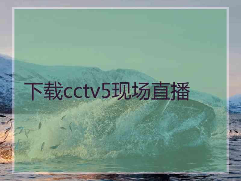 下载cctv5现场直播