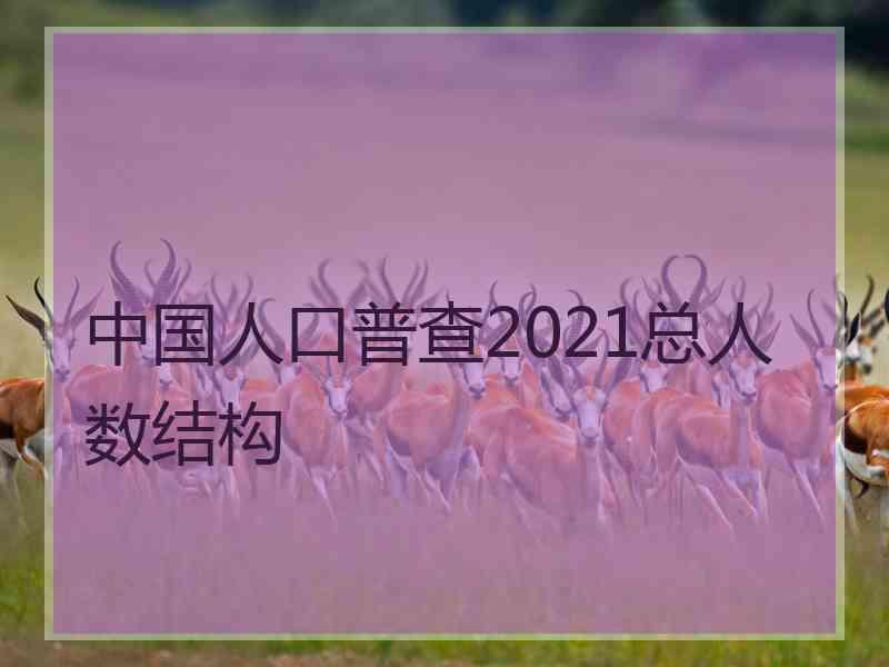 中国人口普查2021总人数结构