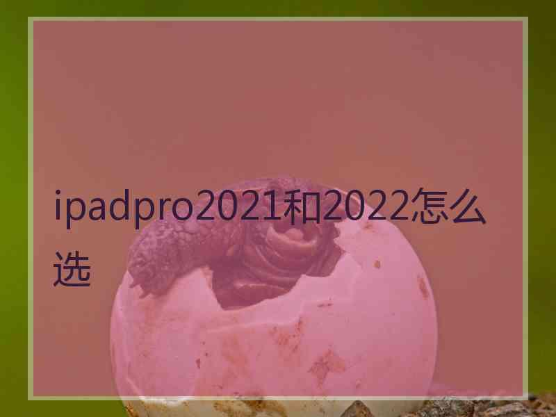 ipadpro2021和2022怎么选