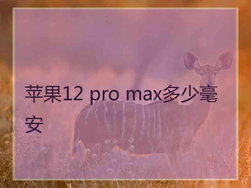 苹果12 pro max多少毫安