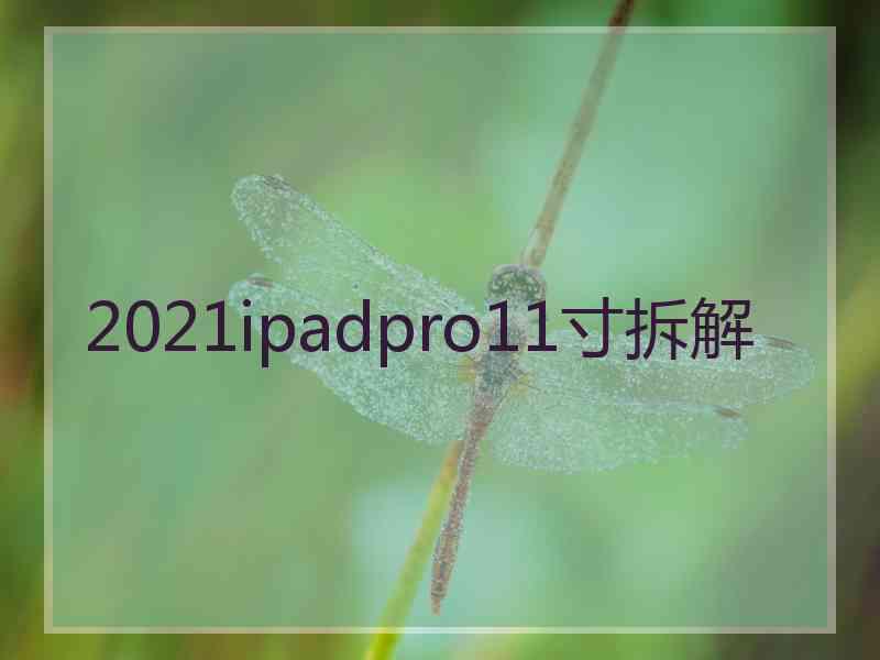 2021ipadpro11寸拆解