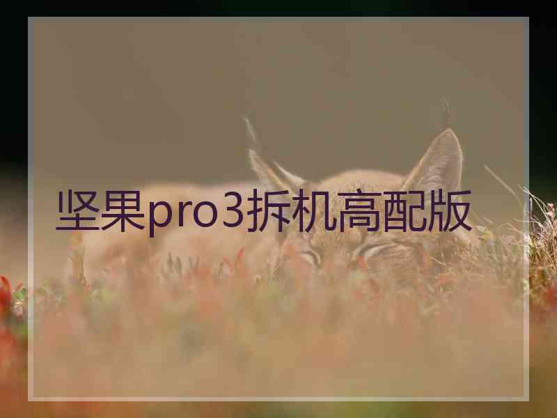 坚果pro3拆机高配版