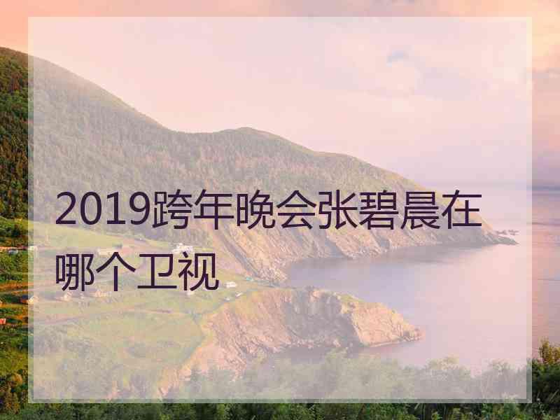 2019跨年晚会张碧晨在哪个卫视