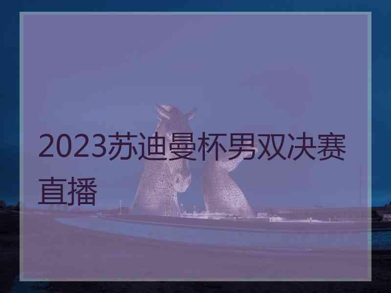 2023苏迪曼杯男双决赛直播