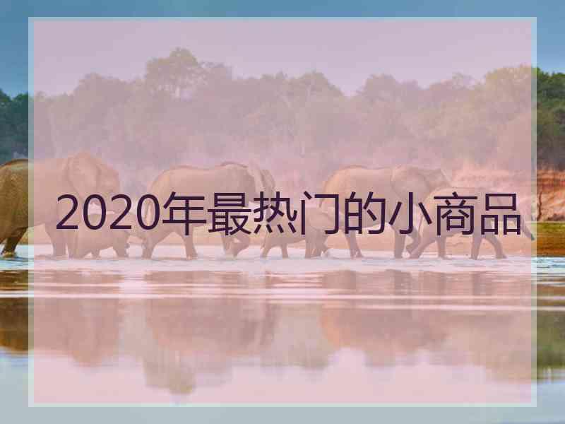 2020年最热门的小商品