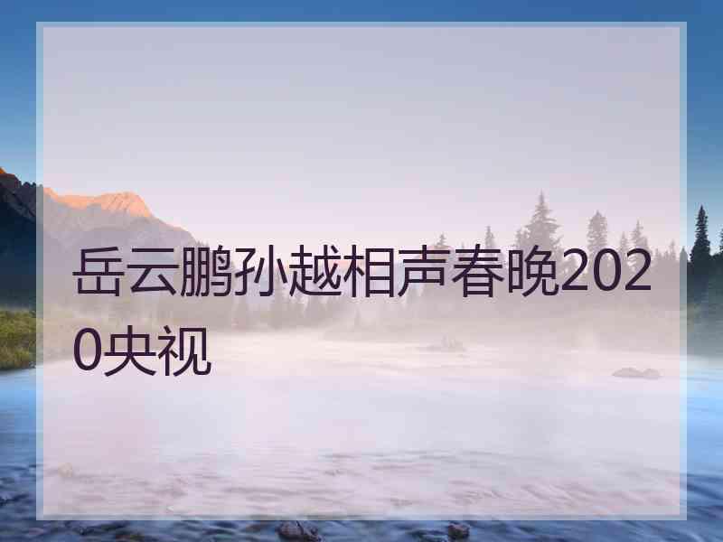 岳云鹏孙越相声春晚2020央视