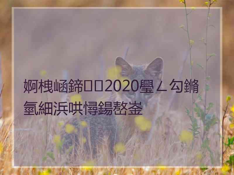 婀栧崡鍗2020璺ㄥ勾鏅氫細浜哄憳鍚嶅崟