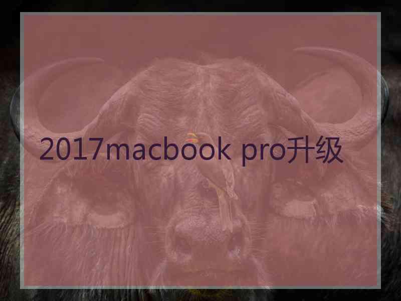 2017macbook pro升级