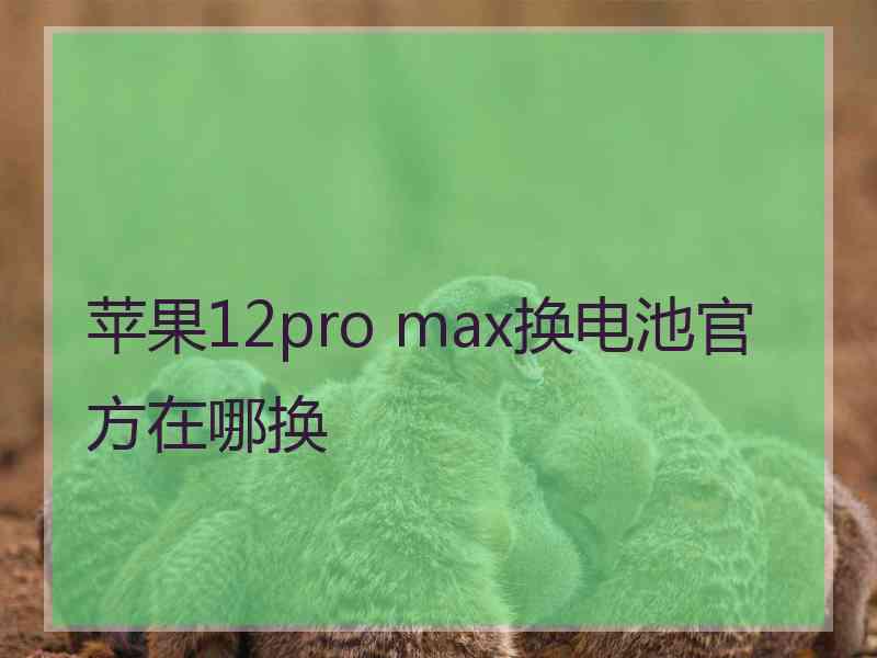 苹果12pro max换电池官方在哪换