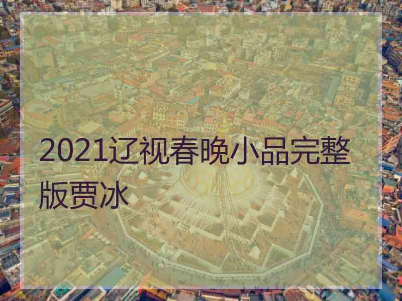 2021辽视春晚小品完整版贾冰