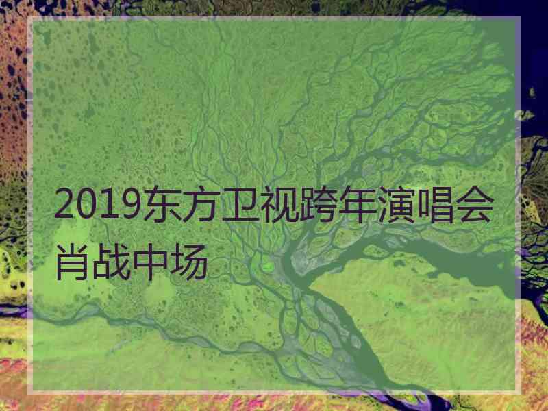 2019东方卫视跨年演唱会肖战中场