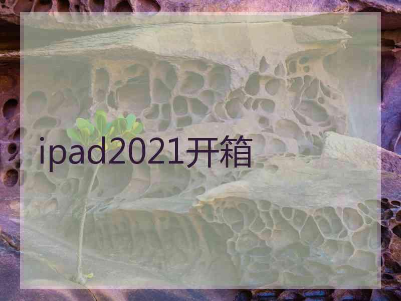 ipad2021开箱