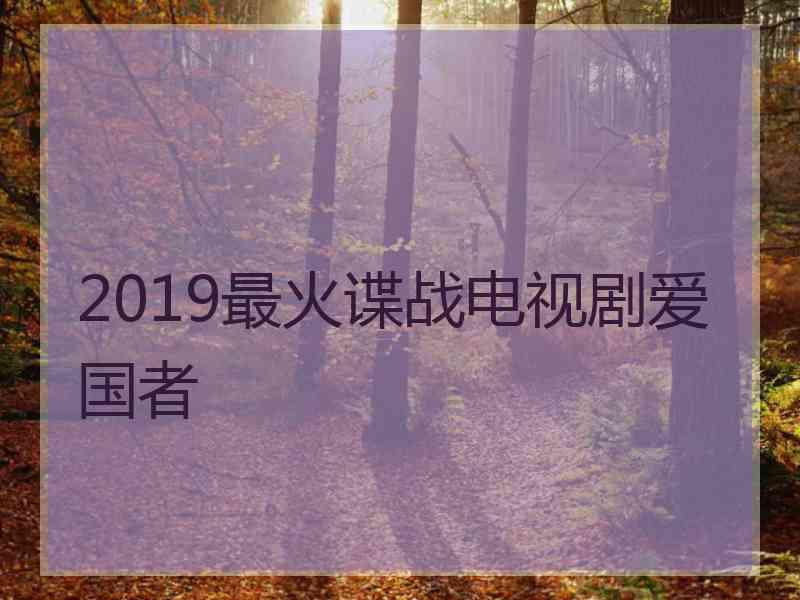 2019最火谍战电视剧爱国者