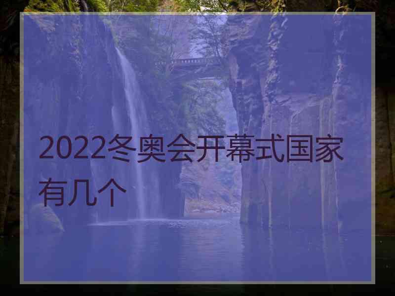 2022冬奥会开幕式国家有几个