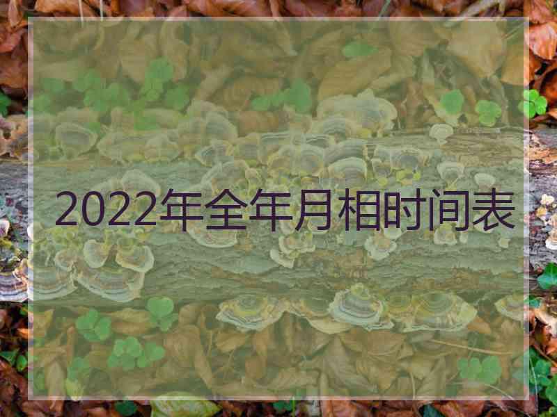 2022年全年月相时间表