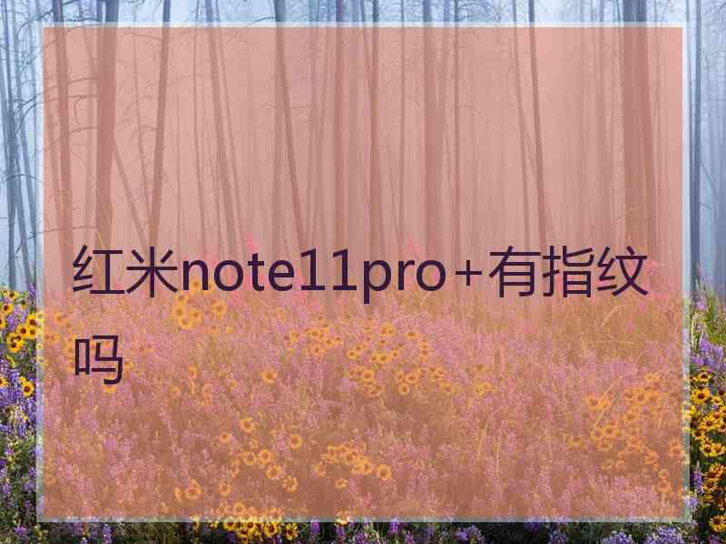 红米note11pro+有指纹吗