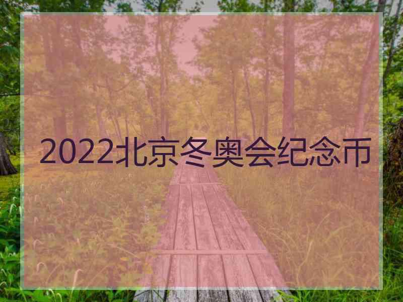 2022北京冬奥会纪念币