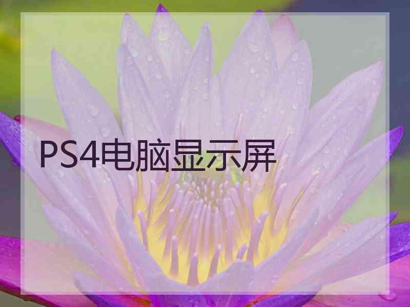 PS4电脑显示屏