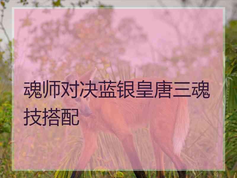 魂师对决蓝银皇唐三魂技搭配