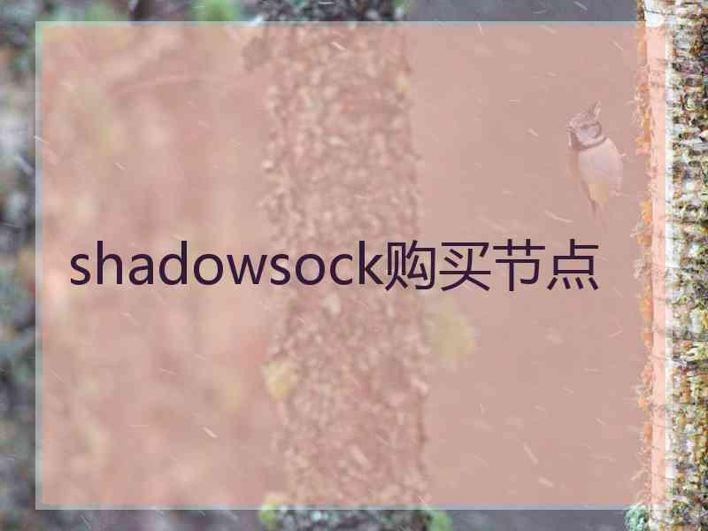 shadowsock购买节点