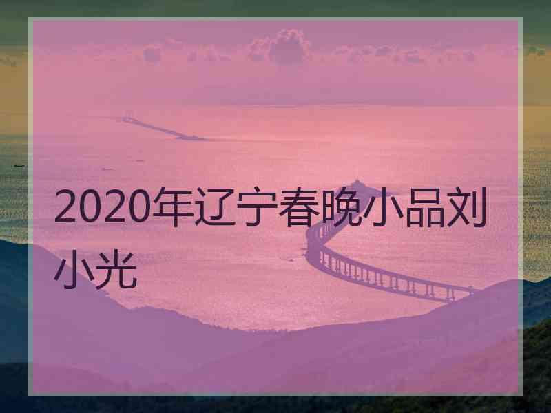 2020年辽宁春晚小品刘小光