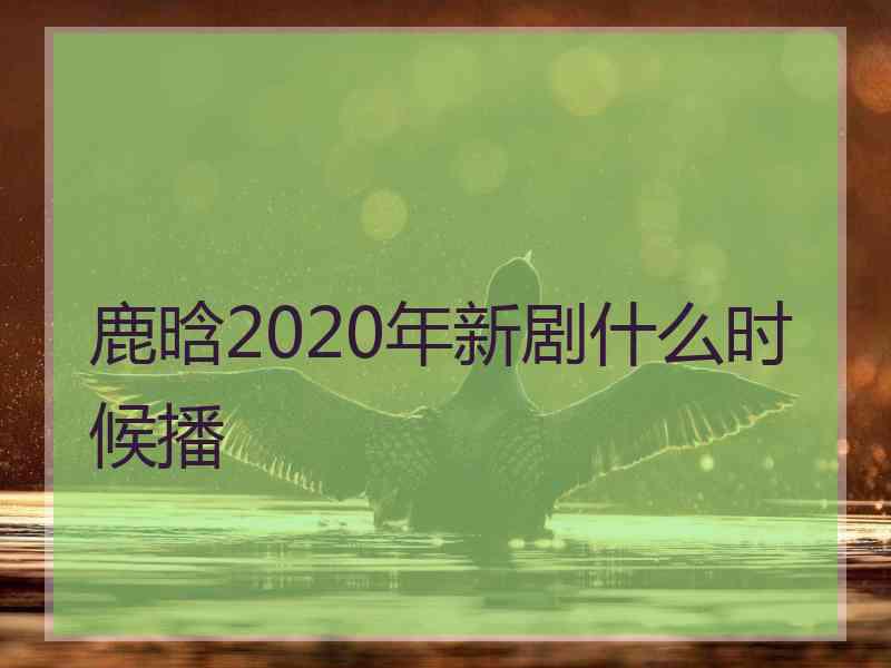 鹿晗2020年新剧什么时候播