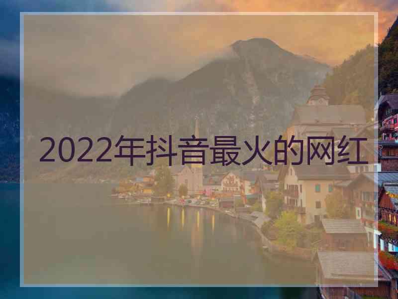 2022年抖音最火的网红