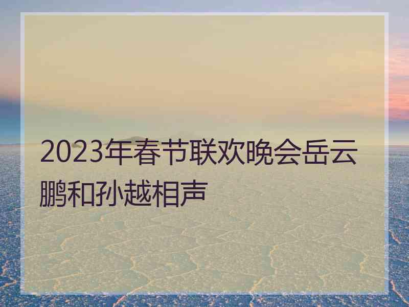 2023年春节联欢晚会岳云鹏和孙越相声