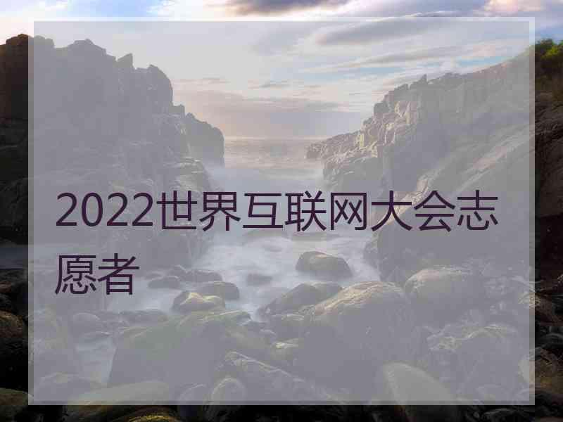 2022世界互联网大会志愿者