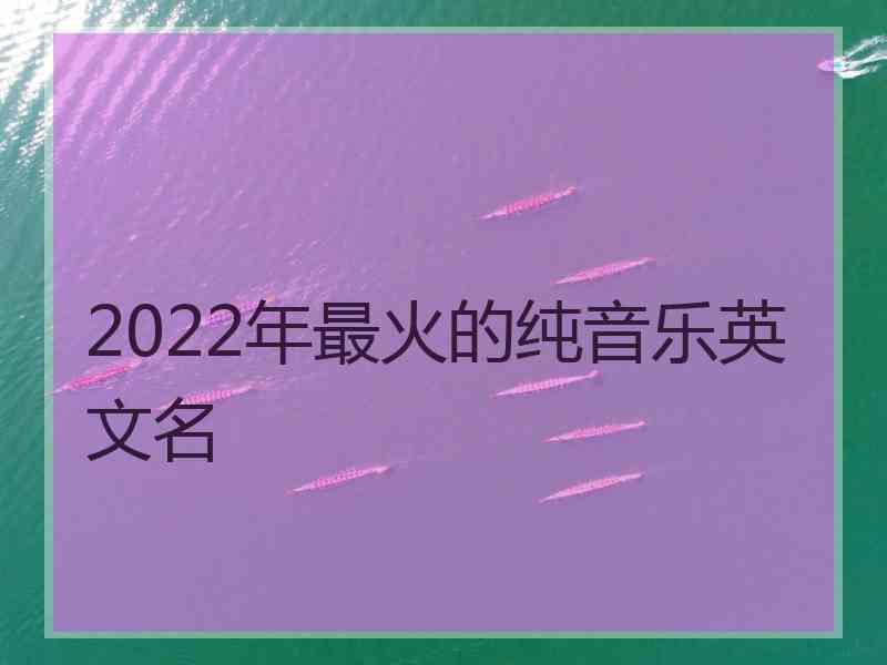 2022年最火的纯音乐英文名