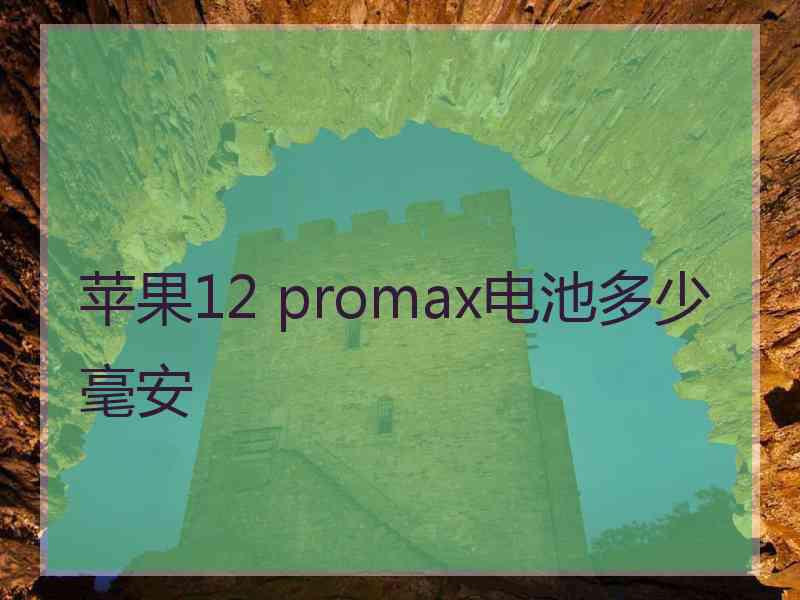 苹果12 promax电池多少毫安